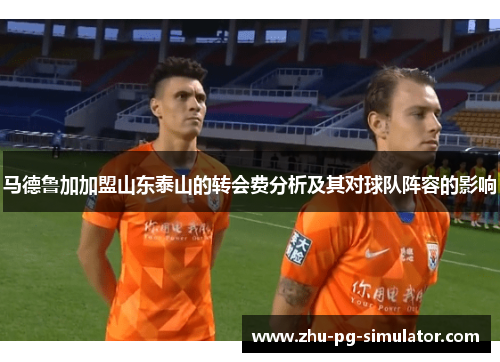 马德鲁加加盟山东泰山的转会费分析及其对球队阵容的影响